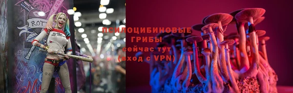 прущий лед Богданович