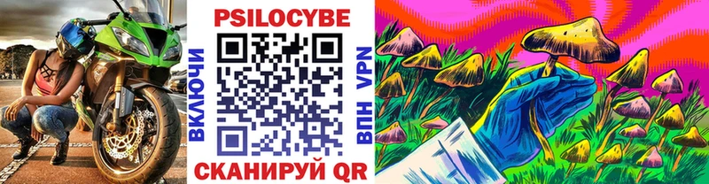 Псилоцибиновые грибы Psilocybe  ссылка на мегу tor  Кондопога 